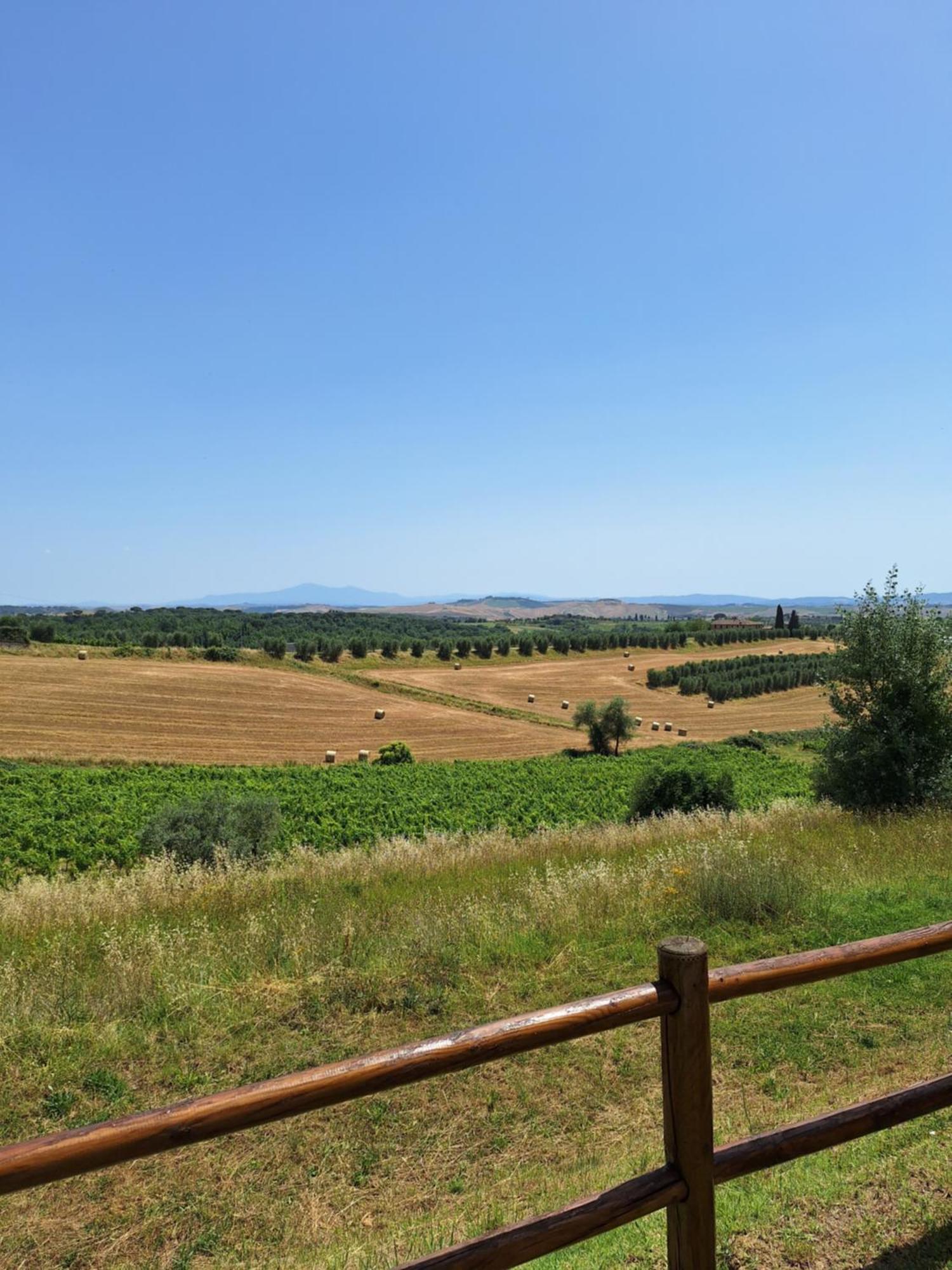 Casa Paola Nel Chianti Bed and Breakfast Castelnuovo Berardenga Εξωτερικό φωτογραφία